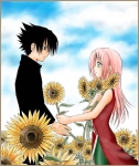 sasuke e sakura